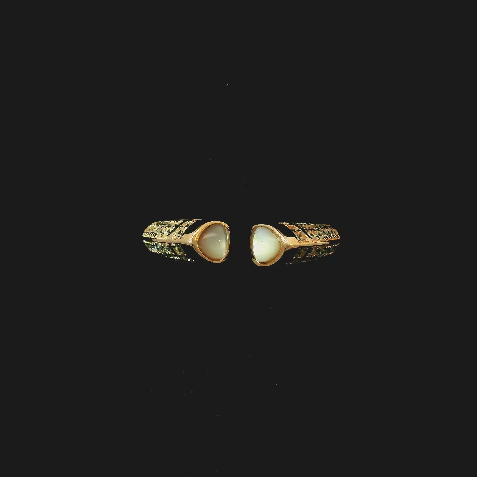 DIARFHR26056 - Video