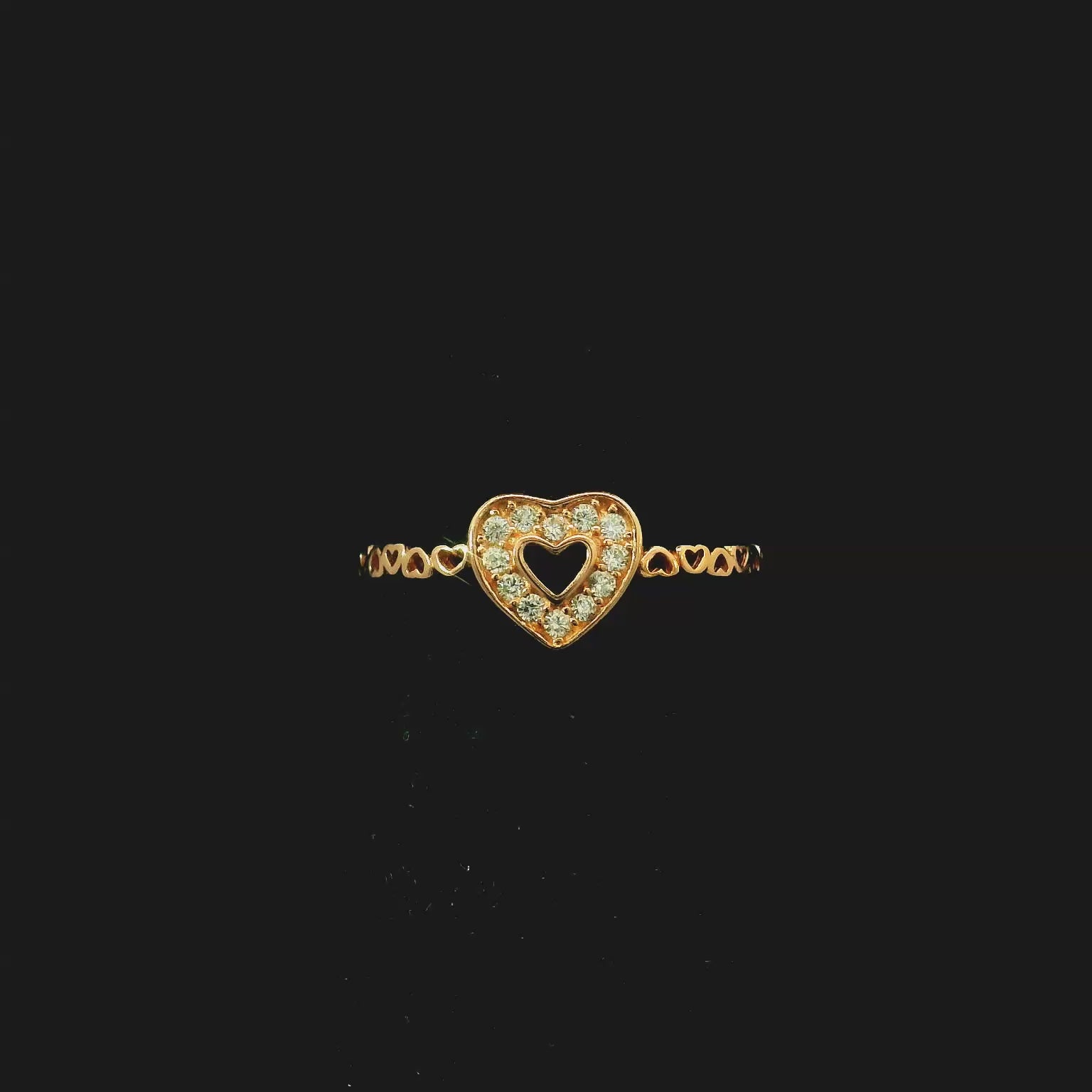 DIARFHR26051 - Video