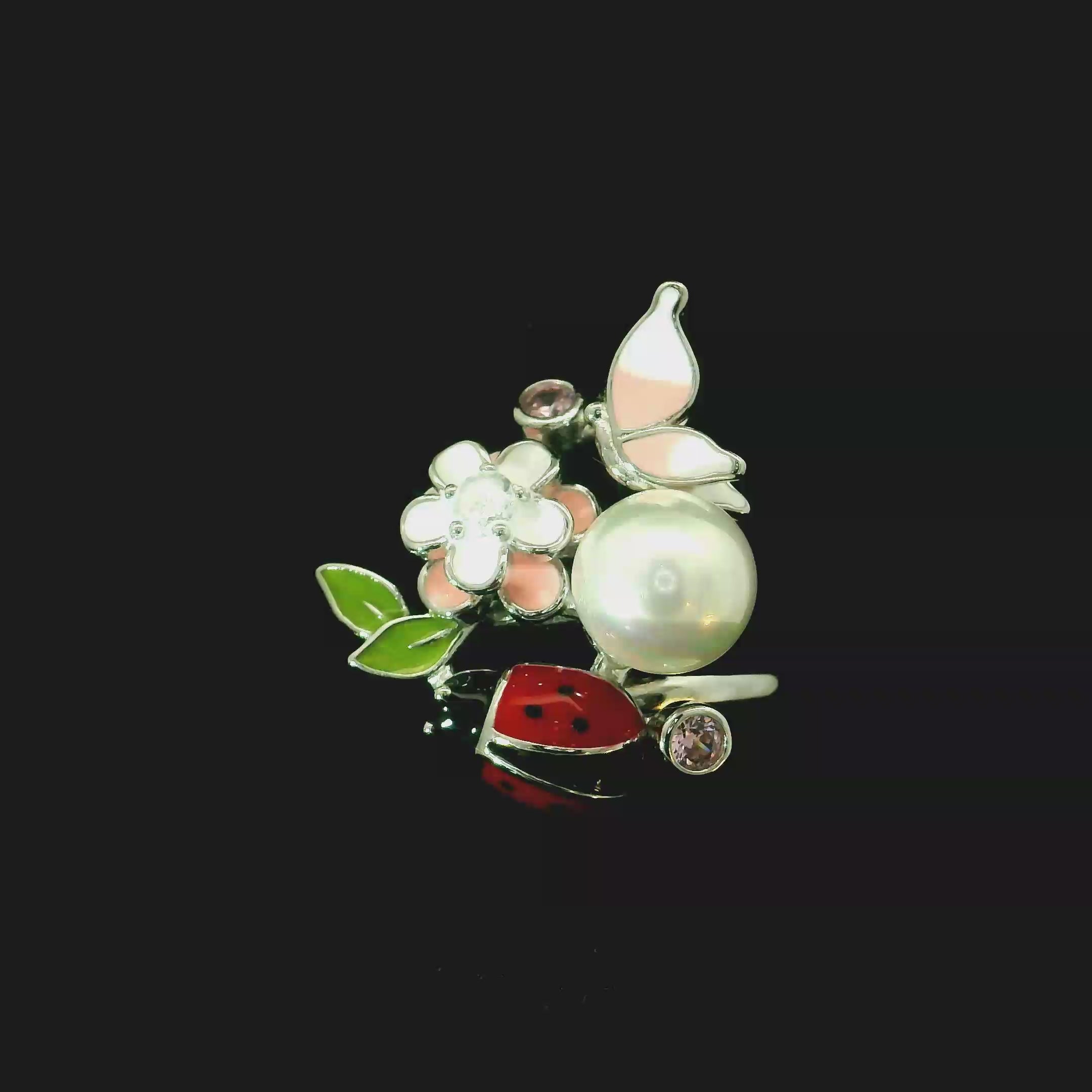 DIARFHW26074 - Video