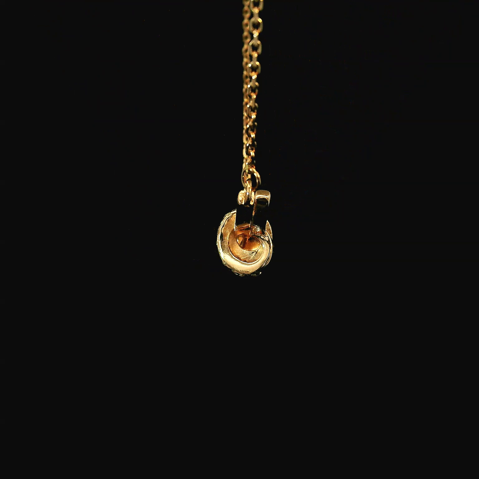 DIANFHR26002 - Reference raw_1.png