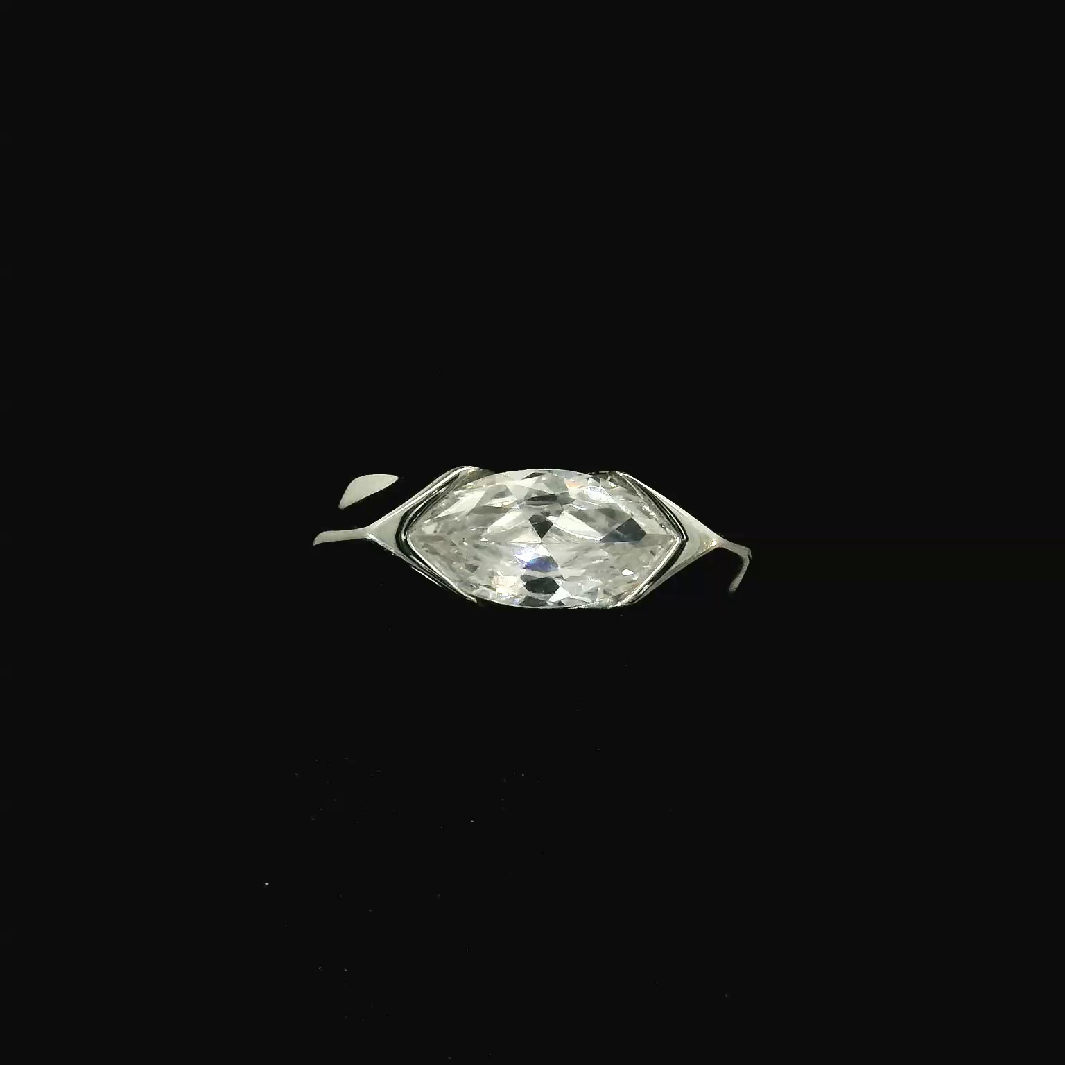 DIARSNW26068 - Reference raw_2.png