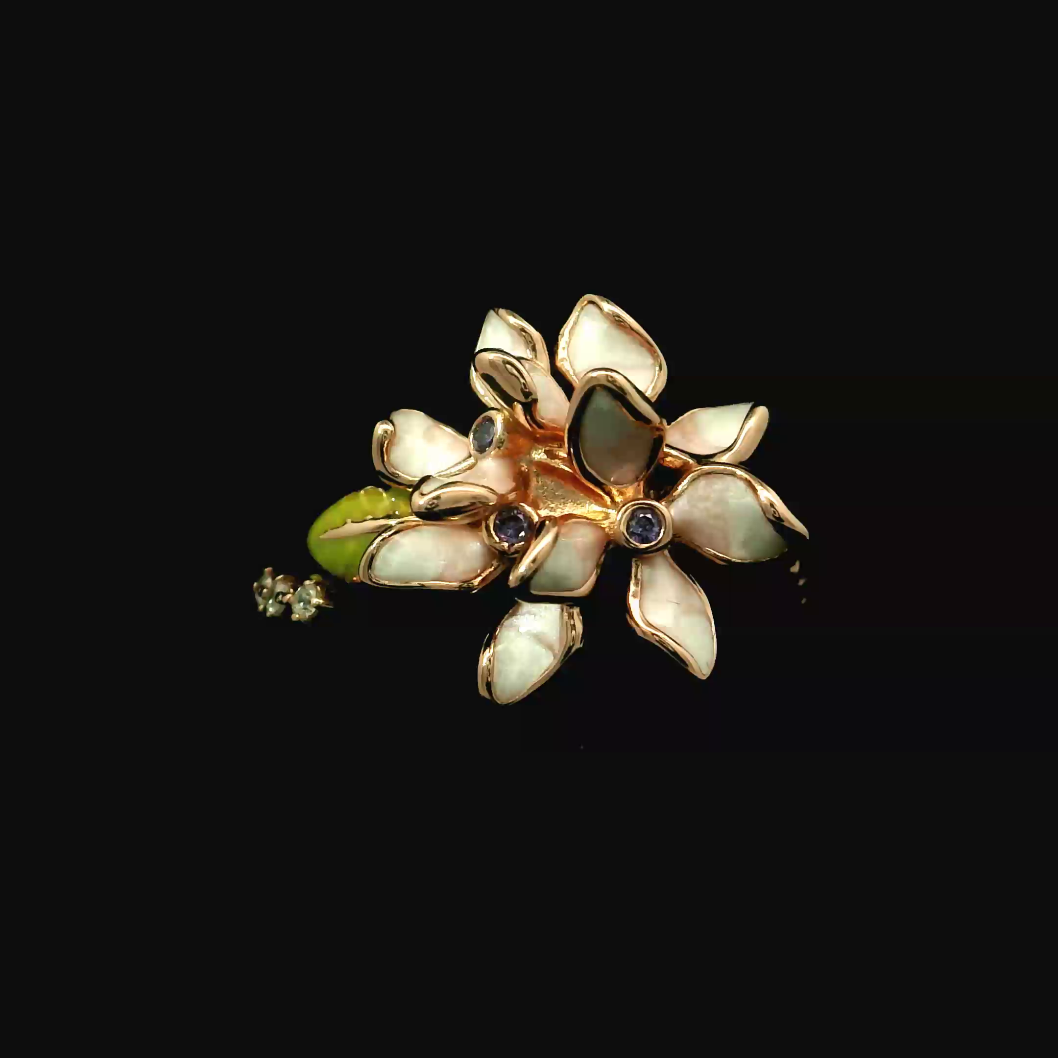 DIARFHR26073 - Reference raw_2.png