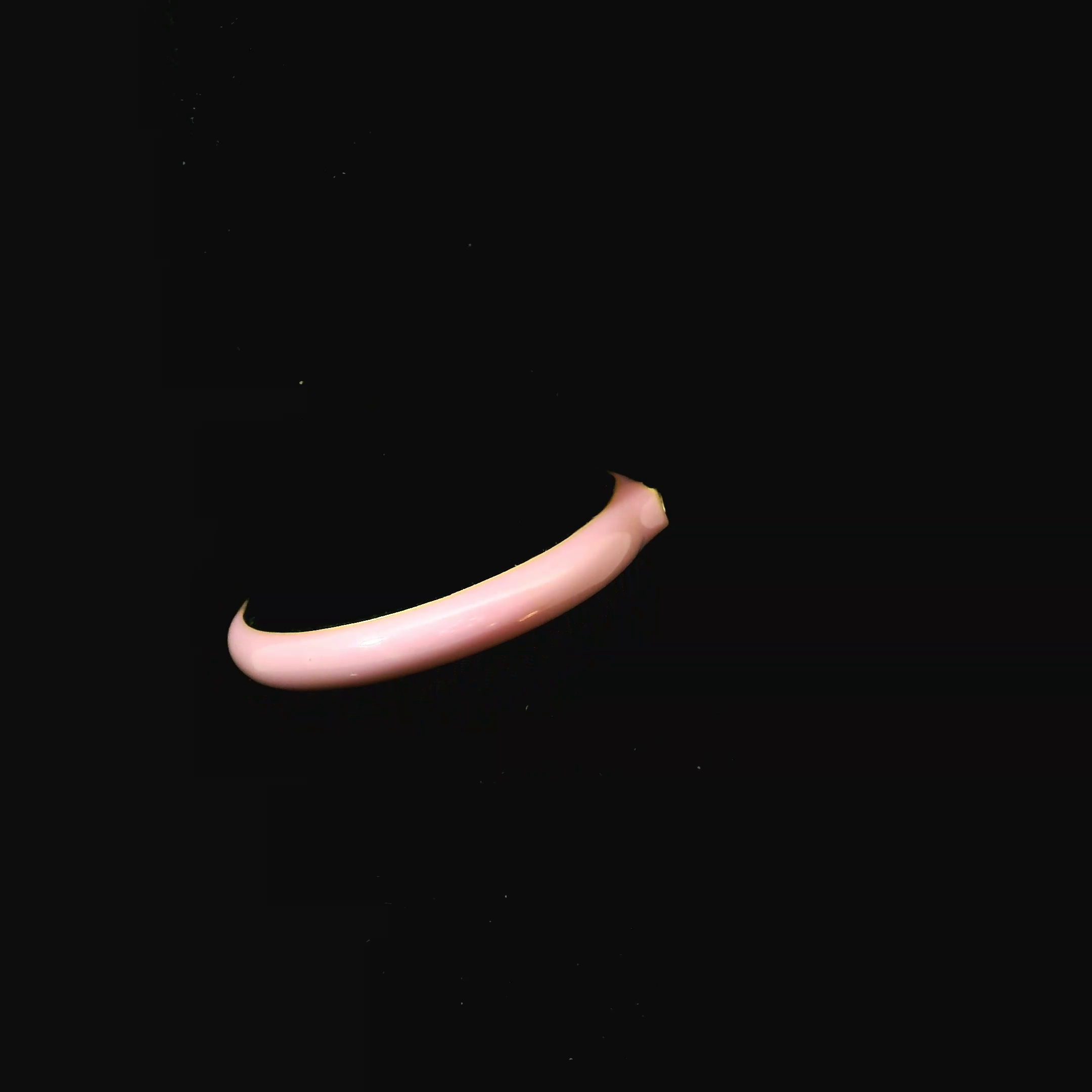 DIARBNY26078 - Reference raw_2.png