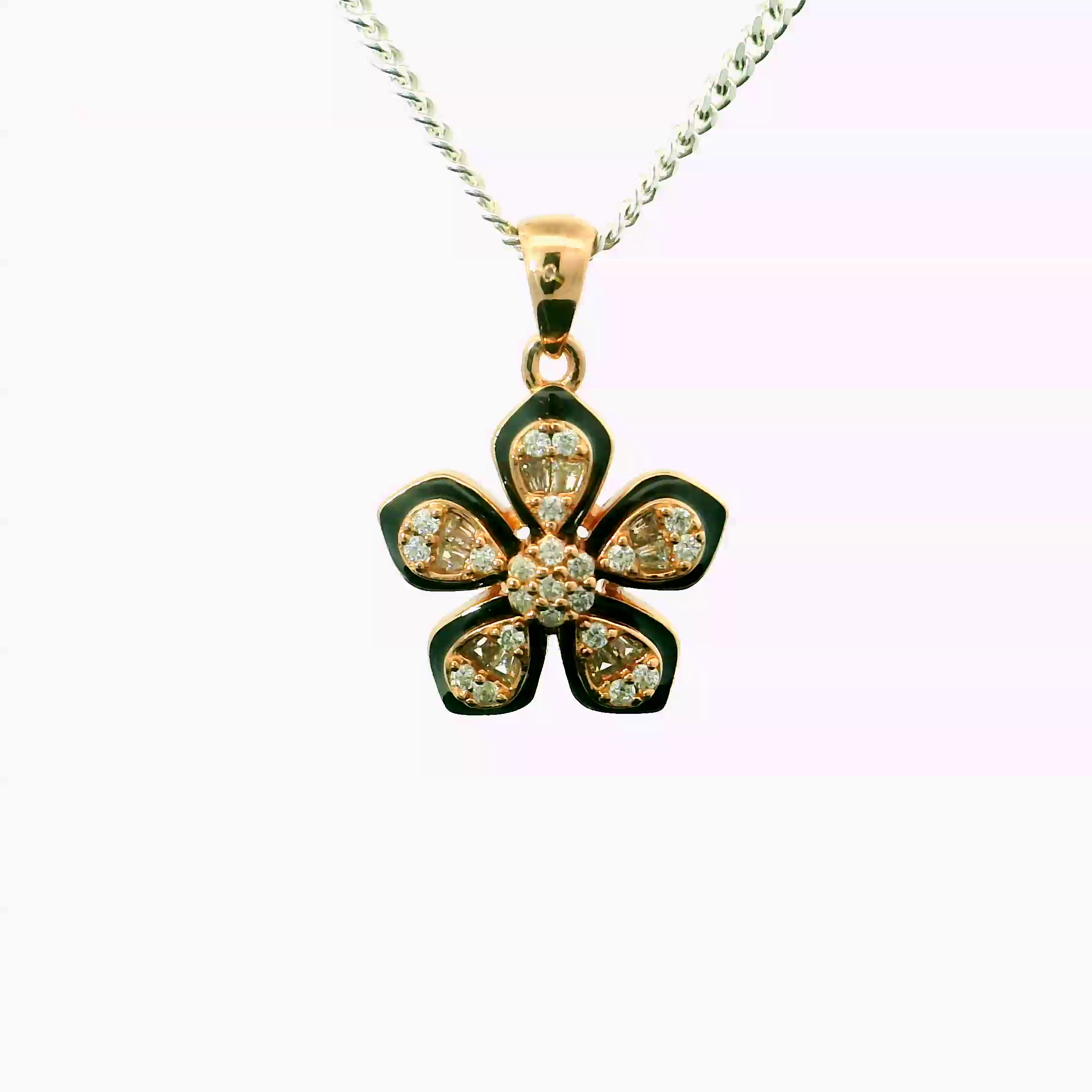 DIAPFHR26006 - Reference raw_2.png
