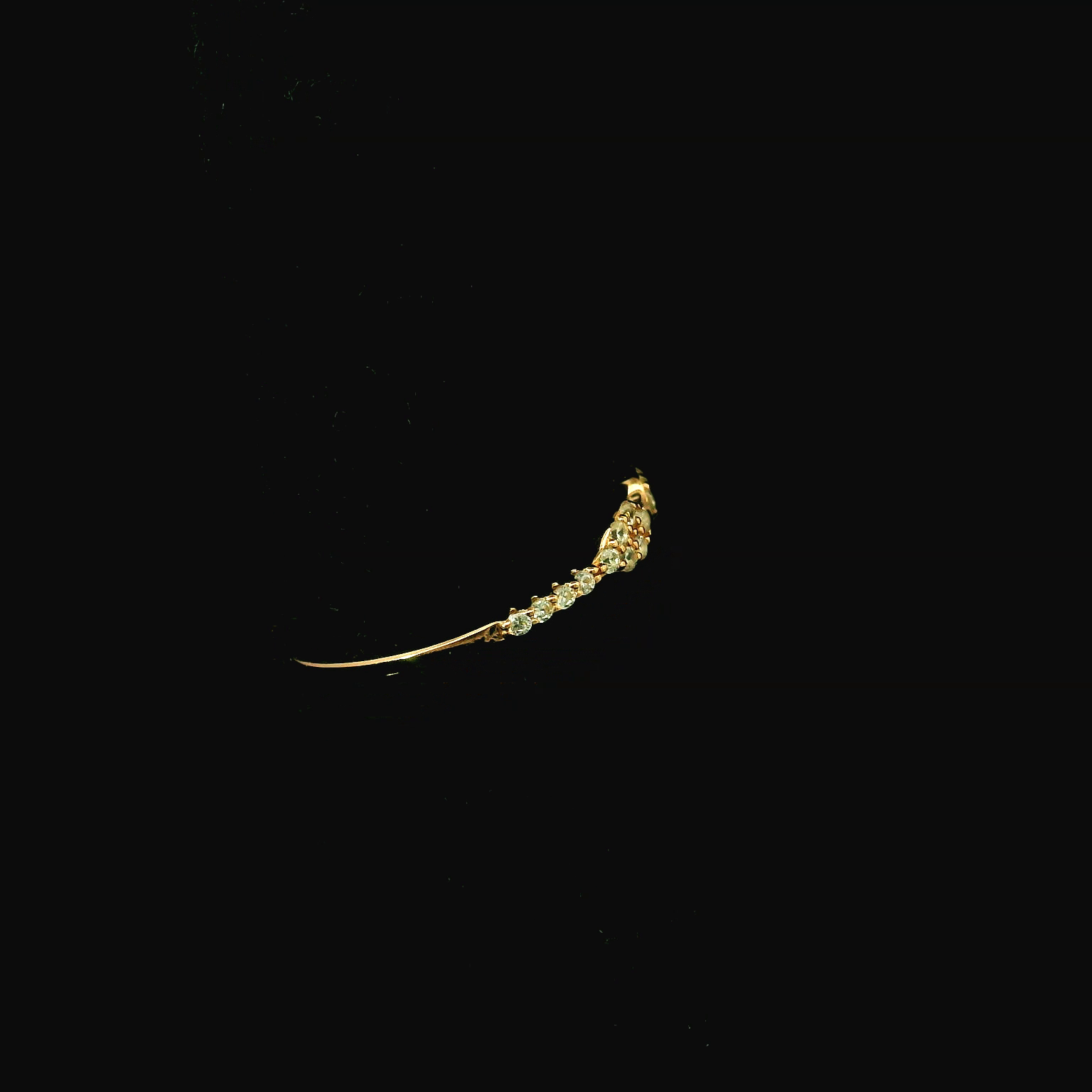 DIARFHR26040 - Reference raw_2.png